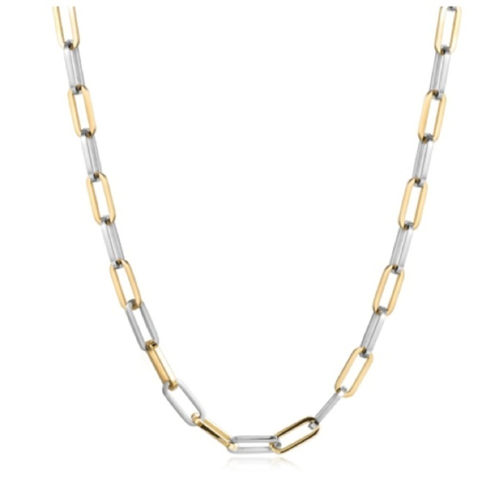24” Gold and Stainless Steel Chain